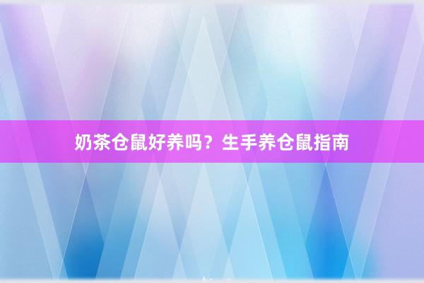 奶茶仓鼠好养吗?生手养仓鼠指南